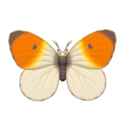 紅襟粉蝶 icon