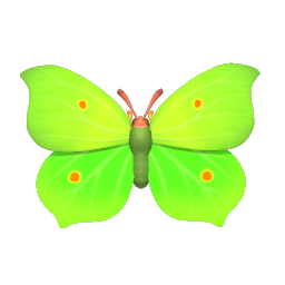 鉤粉蝶 insect icon