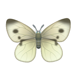 菜粉蝶 icon