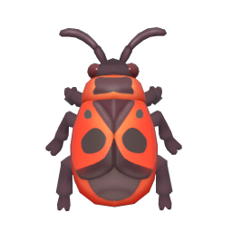 始紅蝽 icon