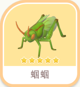 蟈蟈 icon