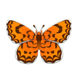 豹紋網蛺蝶 icon