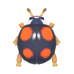 四星瓢蟲 icon