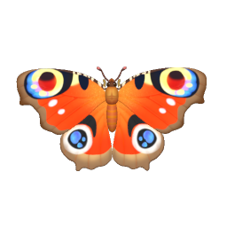 孔雀蛺蝶 icon