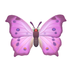 綠貝矩蛺蝶 icon