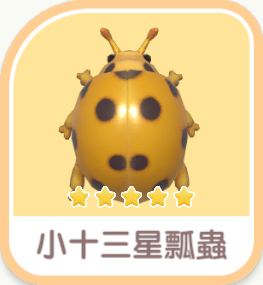 小十三星瓢蟲 icon