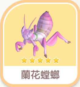 蘭花螳螂 icon